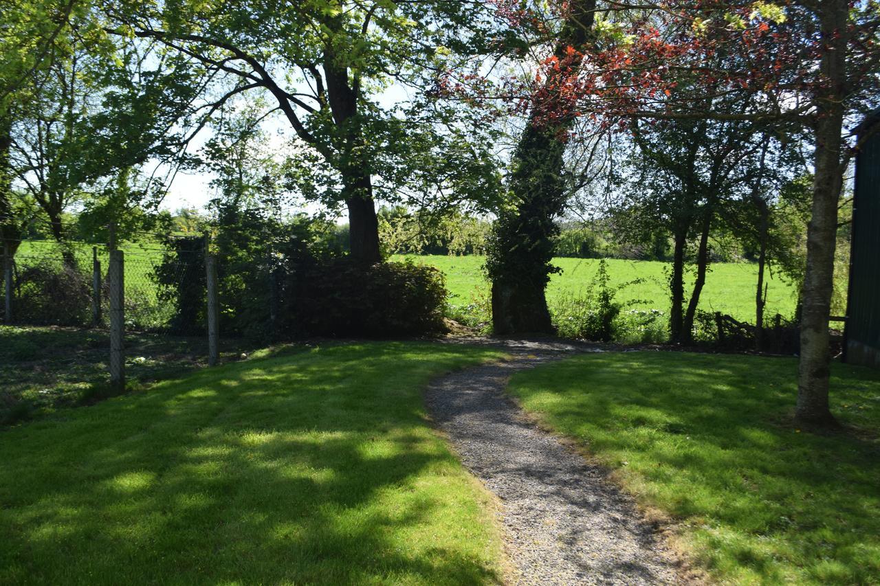 Bagenalstown Orchard Grove Bed & Breakfast R21Rc58 מראה חיצוני תמונה