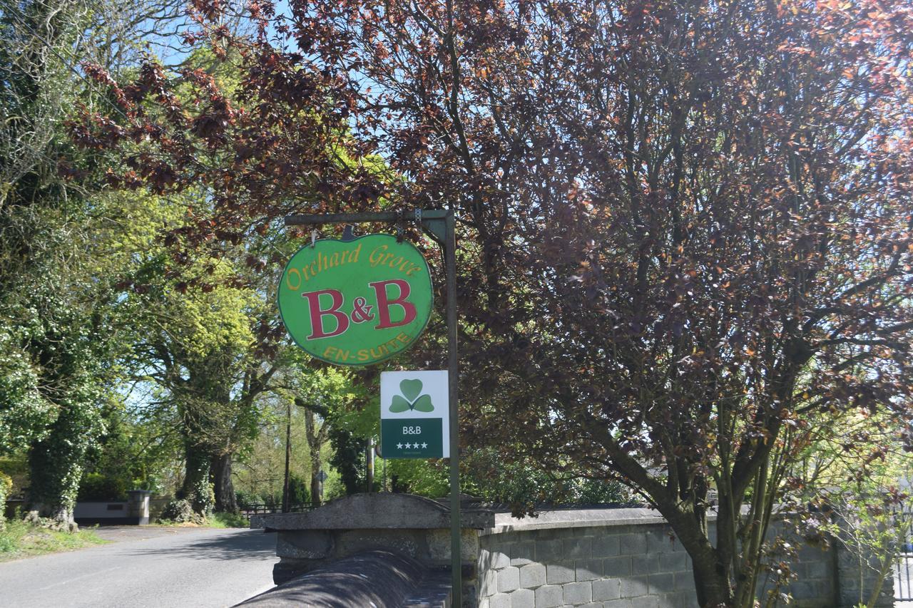 Bagenalstown Orchard Grove Bed & Breakfast R21Rc58 מראה חיצוני תמונה